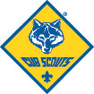Scout Councils
